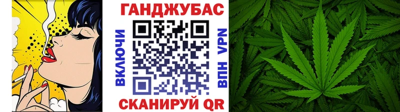 Каннабис планчик Берёзовка